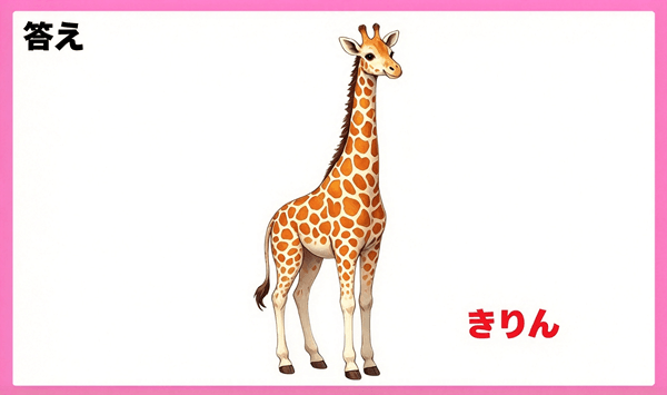 解説画像