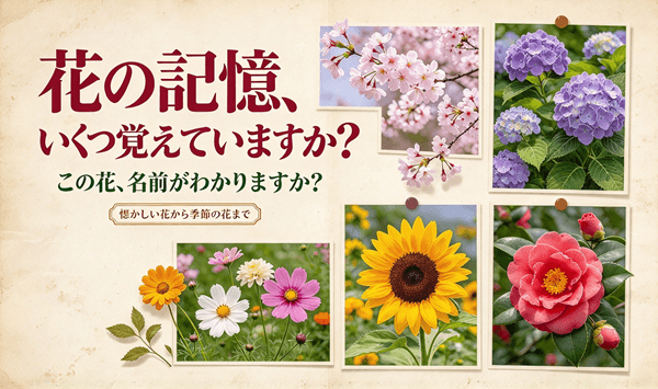 花の名前当てクイズ 全15問！あなたはいくつわかりますか？