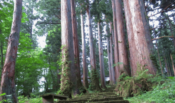 【都道府県クイズ】あなたはいくつわかる？日本の名所・名物・地理に挑戦する15問 第13問